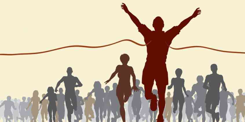 Seart najlepszym sklepem internetowym!